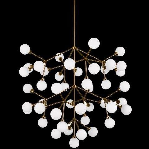 Stellar Branch